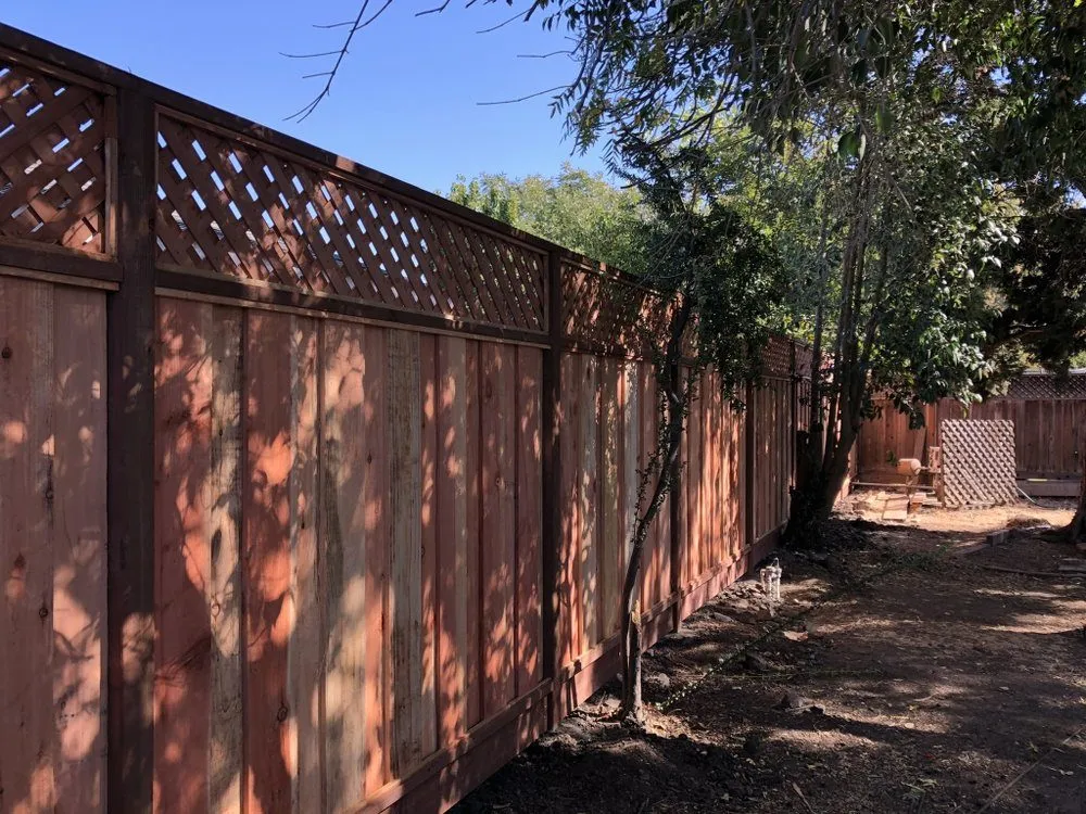 Professional yard cleanup service in Concord, CA - Majic Landscape