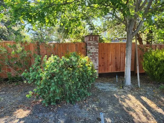 Majic Landscape Logo