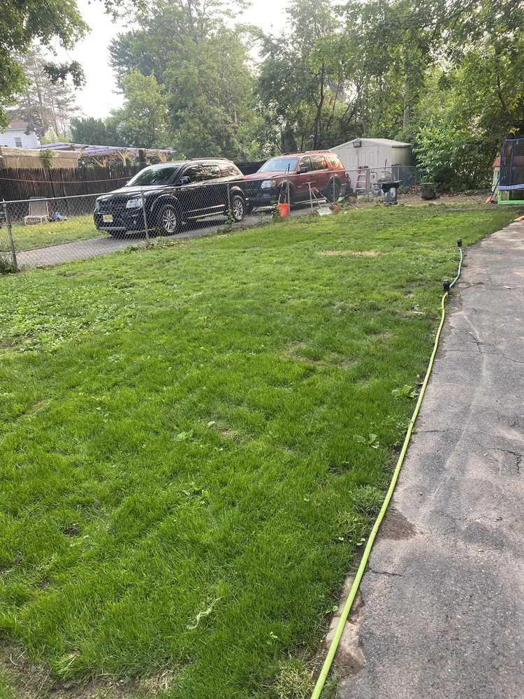 Custom yard cleanup service with custom design in Irvington, NJ by Major Appeal