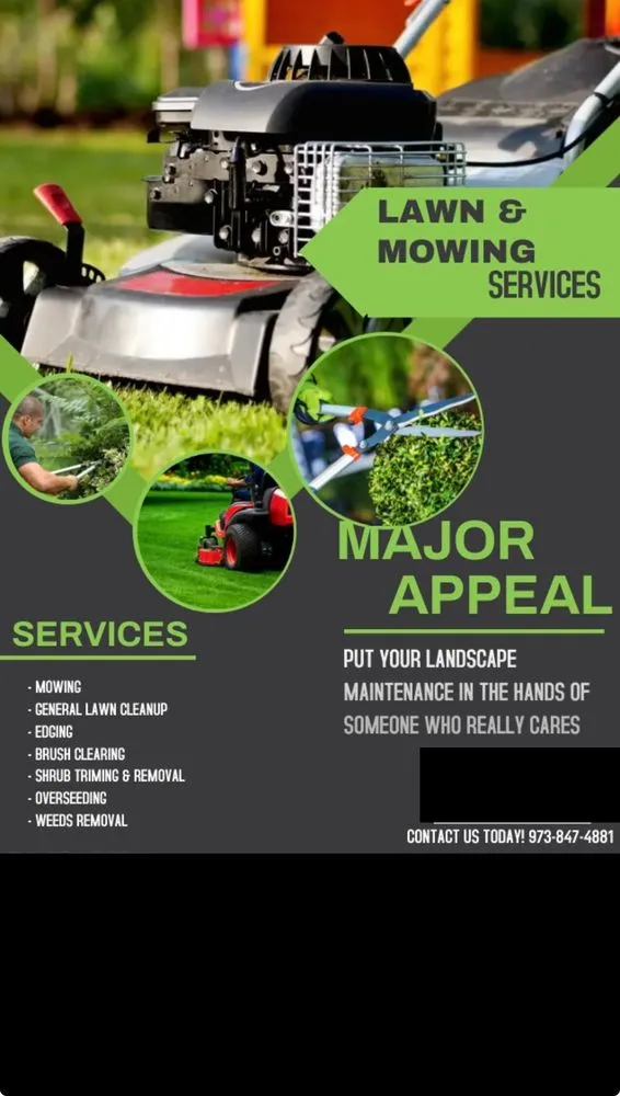 Local yard maintenance in Irvington, NJ - Major Appeal