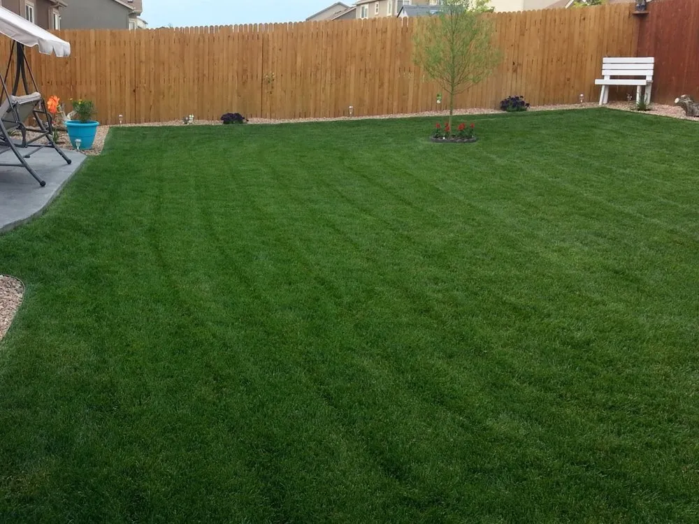 Trusted lawn care service for residential properties in Little Elm, TX by Major Cuts Landscaping