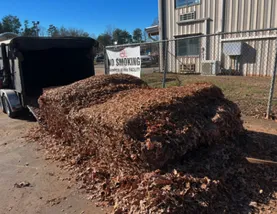 Custom yard maintenance for homes across Charlotte, NC - Major Jones Lawn Care