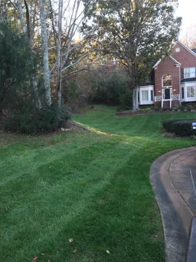 Professional landscape installation for homes across Charlotte, NC - Major Jones Lawn Care