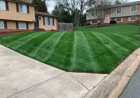 Custom yard maintenance in Charlotte, NC - Major Jones Lawn Care