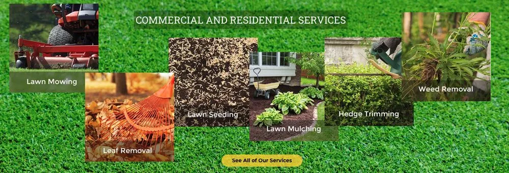 Trusted lawn mowing service for beautiful yards across Charlotte, NC - Major Jones Lawn Care