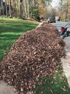 Expert garden landscaping in Charlotte, NC - Major Jones Lawn Care