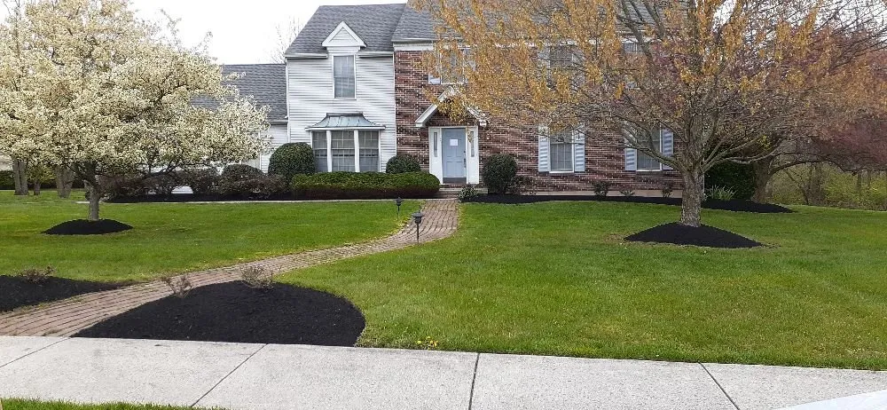 Expert outdoor landscaping experts serving Willow Grove, PA - Major Landscaping