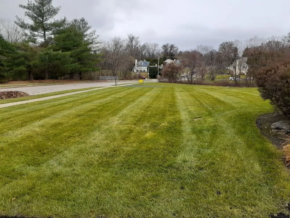 Custom yard maintenance for homes in Willow Grove, PA by Major Landscaping