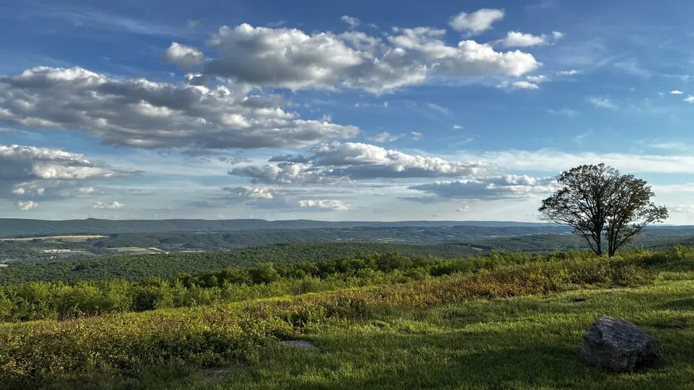 Expert residential landscaping in Willow Grove, PA by Major Landscaping