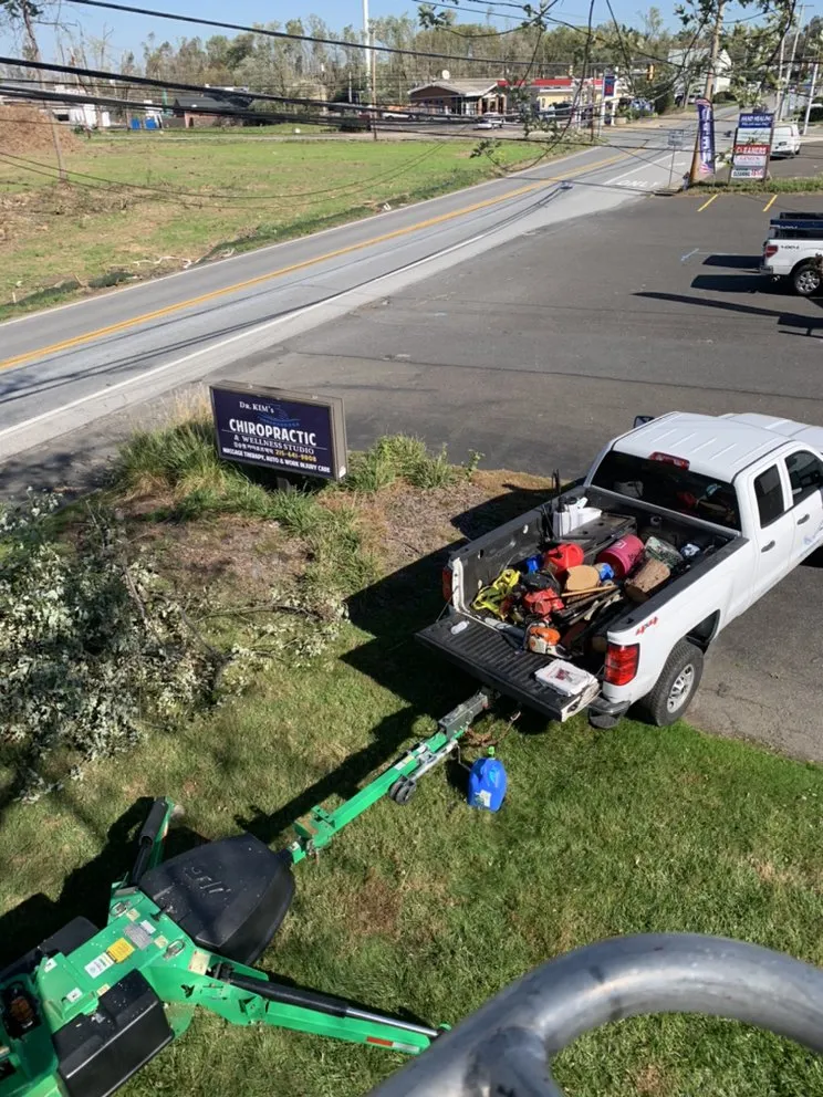 Top-rated landscaping services for year-round maintenance in Willow Grove, PA by Major Landscaping