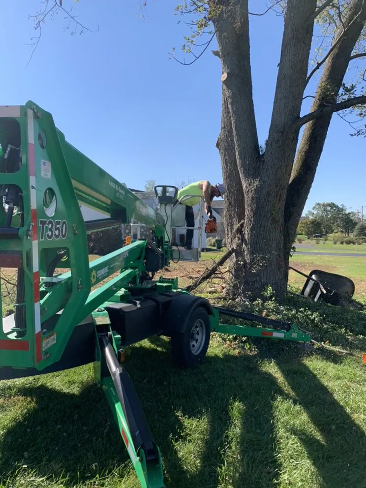 Expert landscape design experts serving Willow Grove, PA - Major Landscaping