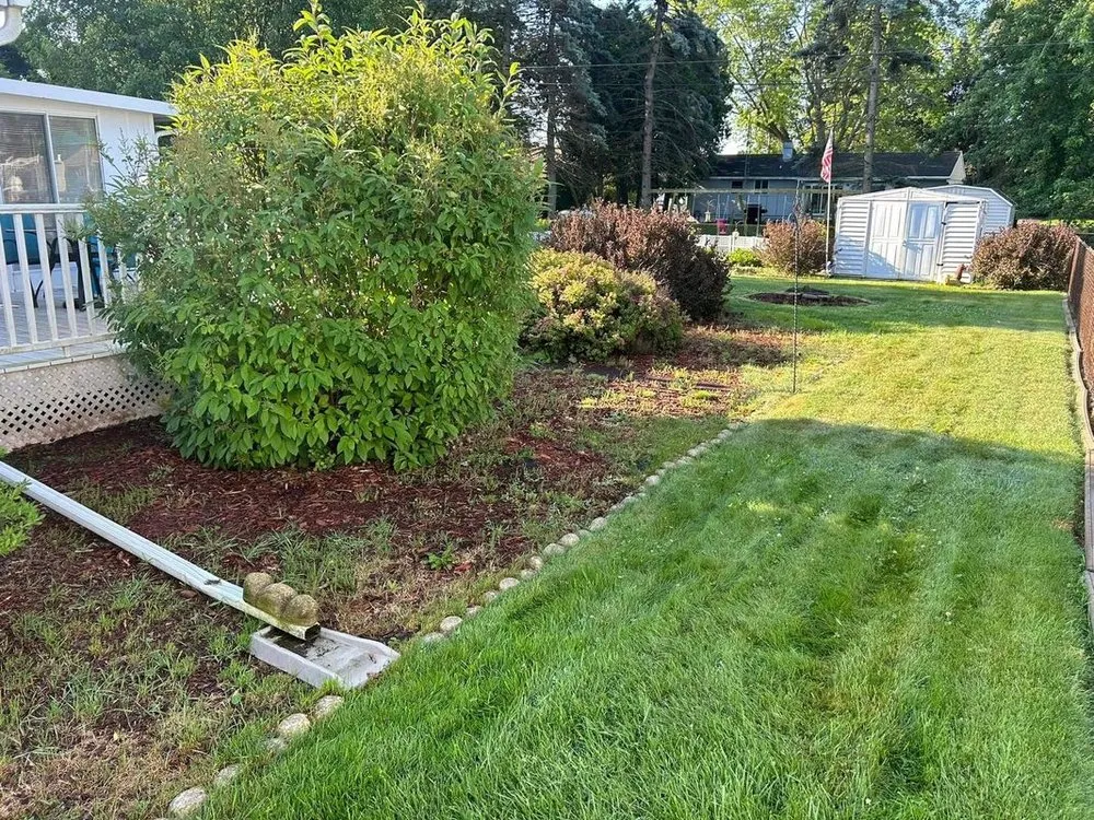 Local landscaping services in Jackson, MI - Major Lawn Care