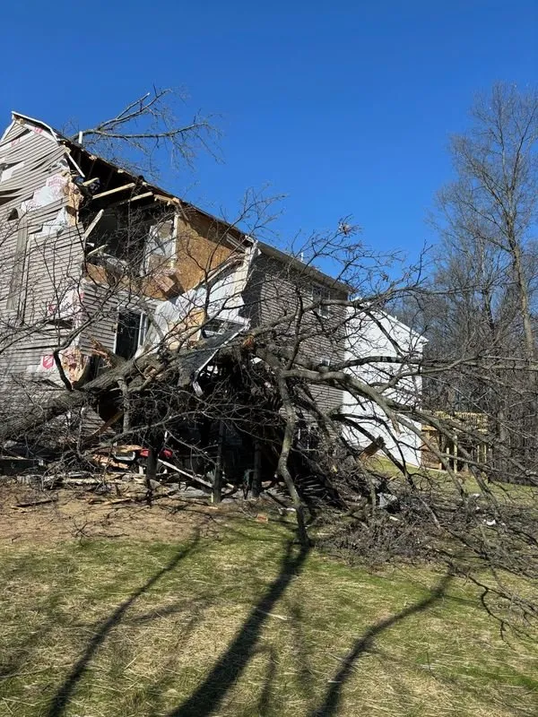 Expert yard maintenance for residential properties across Jackson, MI - Major Lawn Care