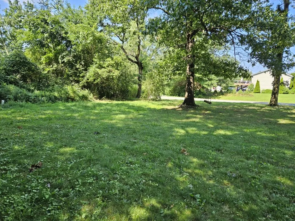 Trusted yard cleanup service in New Windsor, NY by Major Lawn Care Mark