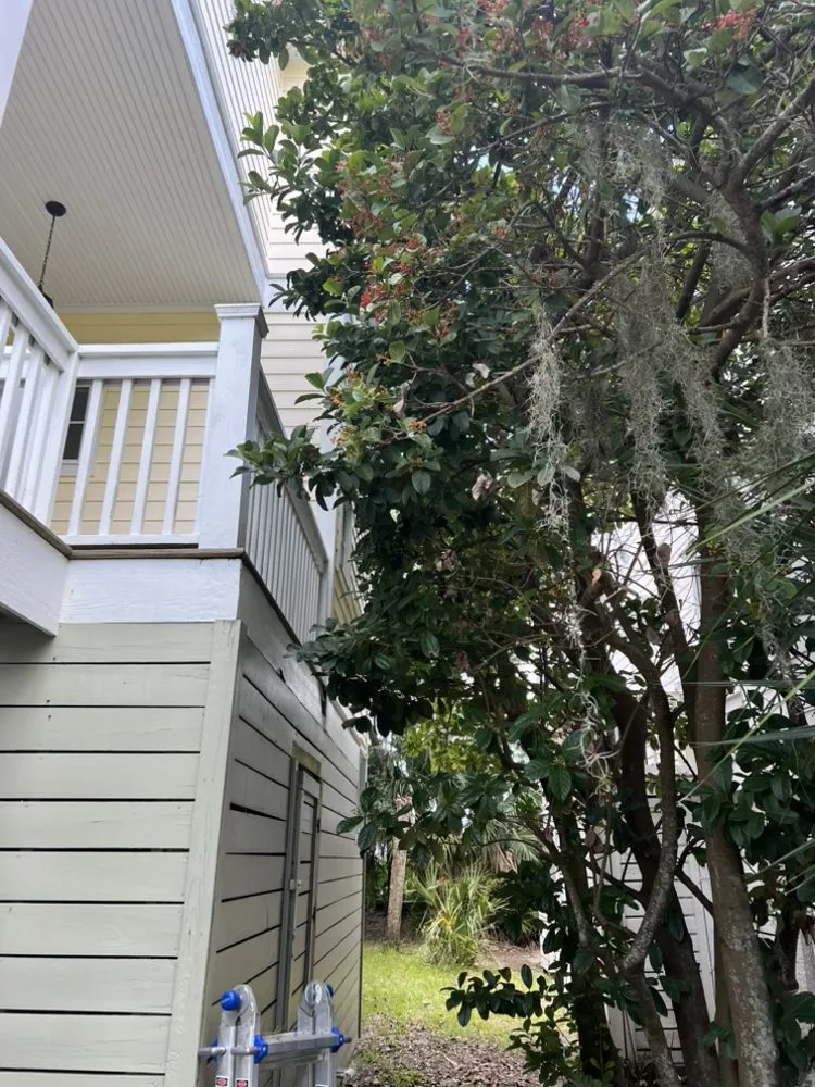 Professional landscaping services in Saint Helena Island, SC - Major Lawn Care