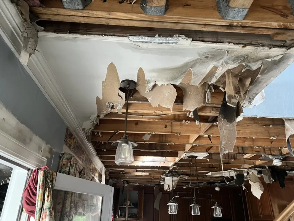 Top-rated lawn mowing service near you in Saint Helena Island, SC by Major Lawn Care