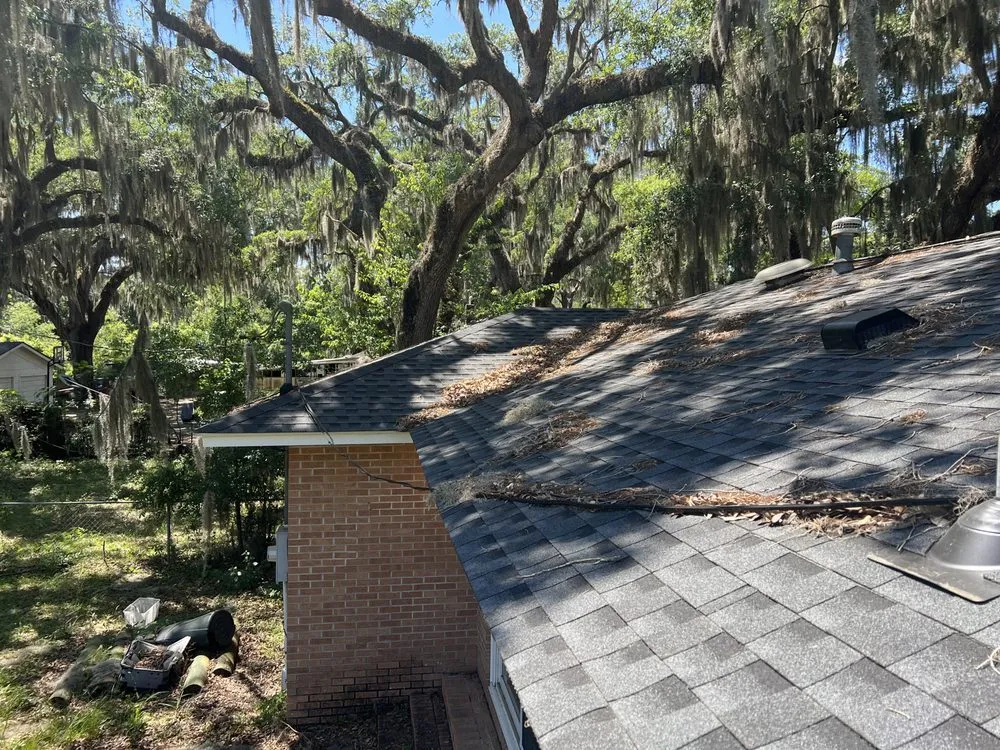 Affordable yard maintenance for year-round maintenance in Saint Helena Island, SC by Major Lawn Care