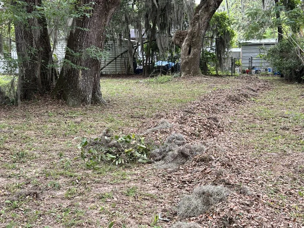 Reliable yard cleanup service in Saint Helena Island, SC - Major Lawn Care