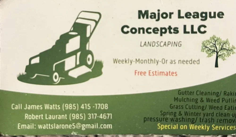 Expert lawn care service for beautiful yards in Covington, LA by Major League Concepts