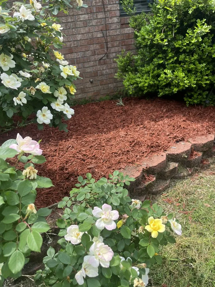 Professional yard cleanup service in Covington, LA by Major League Concepts