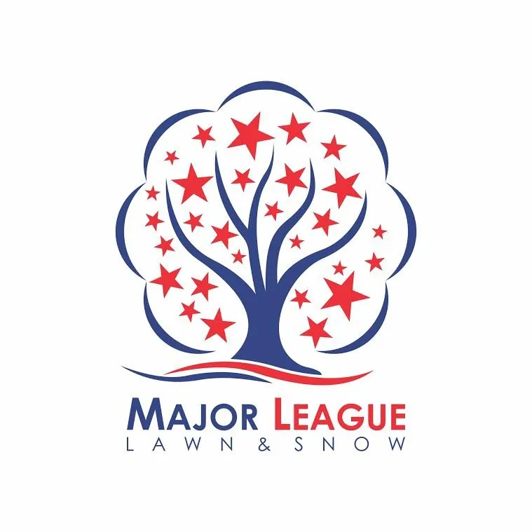 Reliable lawn care service in Clyde, MI - Major League Landscape & Lawn Care
