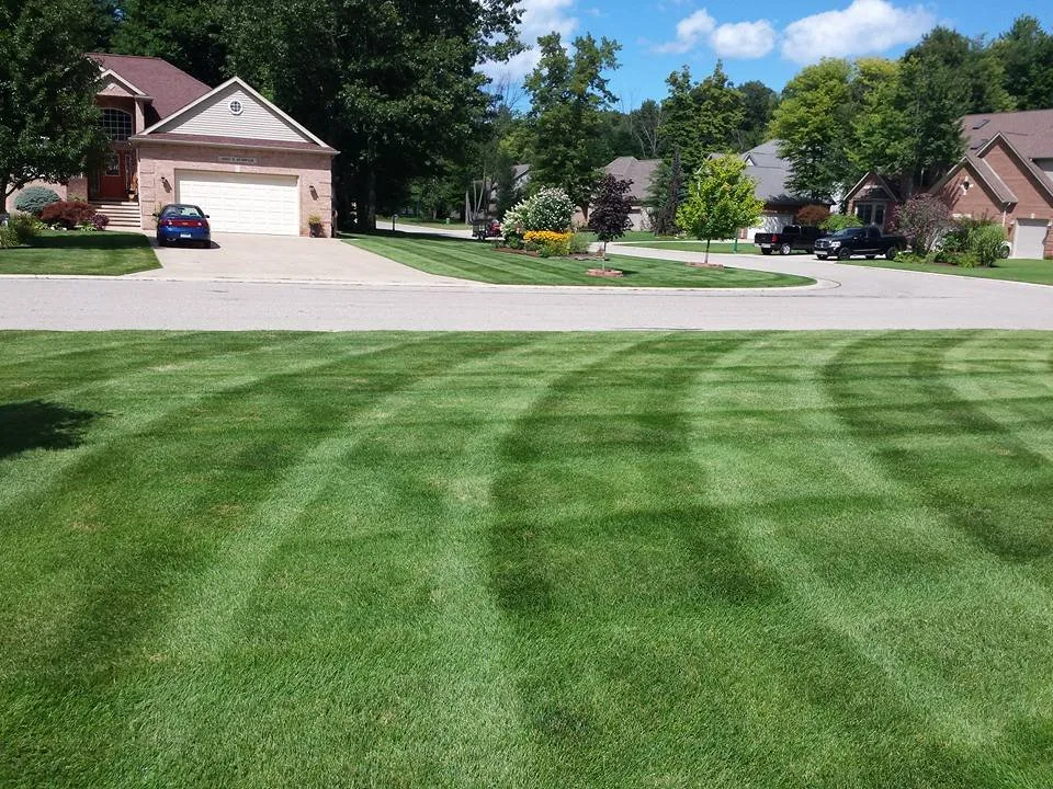 Professional yard cleanup service in Clyde, MI - Major League Landscape & Lawn Care