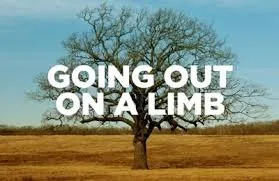 Affordable landscaping services in Broken Arrow, OK - Major League Landscape and Maintenance