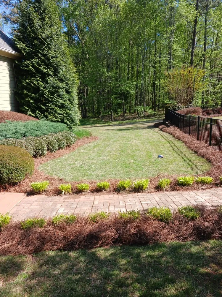 Local outdoor landscaping for homes across Carrollton, GA - Major League Landscape