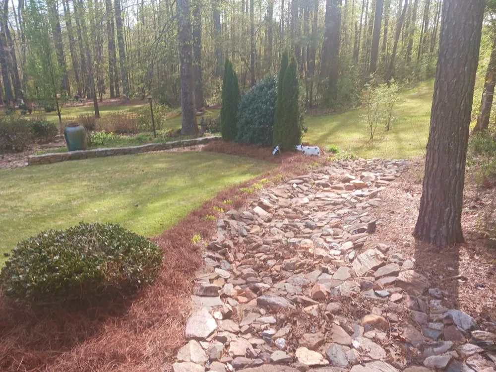 Top-rated yard maintenance in Carrollton, GA by Major League Landscape