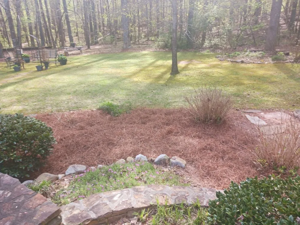 Professional garden landscaping near you in Carrollton, GA by Major League Landscape