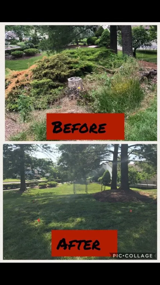 Reliable landscaping services with custom design in Holland, PA by Major League Landscape Design & Lawn Care