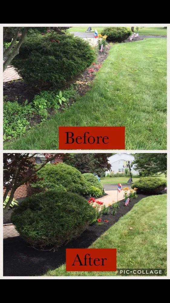 Trusted garden landscaping for year-round maintenance across Holland, PA - Major League Landscape Design & Lawn Care