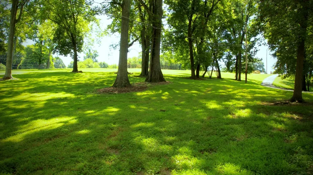 Affordable garden landscaping in Hendersonville, TN by Major League Landscapes