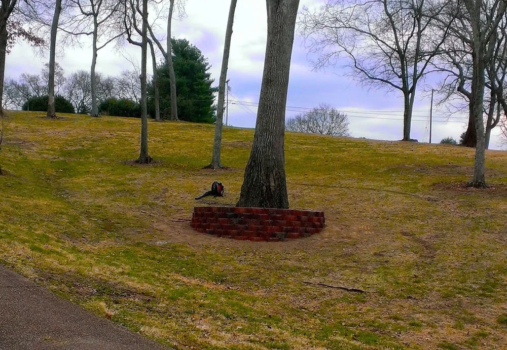 Top-rated yard cleanup service experts serving Hendersonville, TN - Major League Landscapes