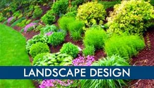 Reliable lawn care service in Hendersonville, TN - Major League Landscapes