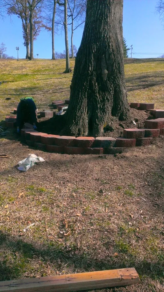 Top-rated yard maintenance in Hendersonville, TN by Major League Landscapes