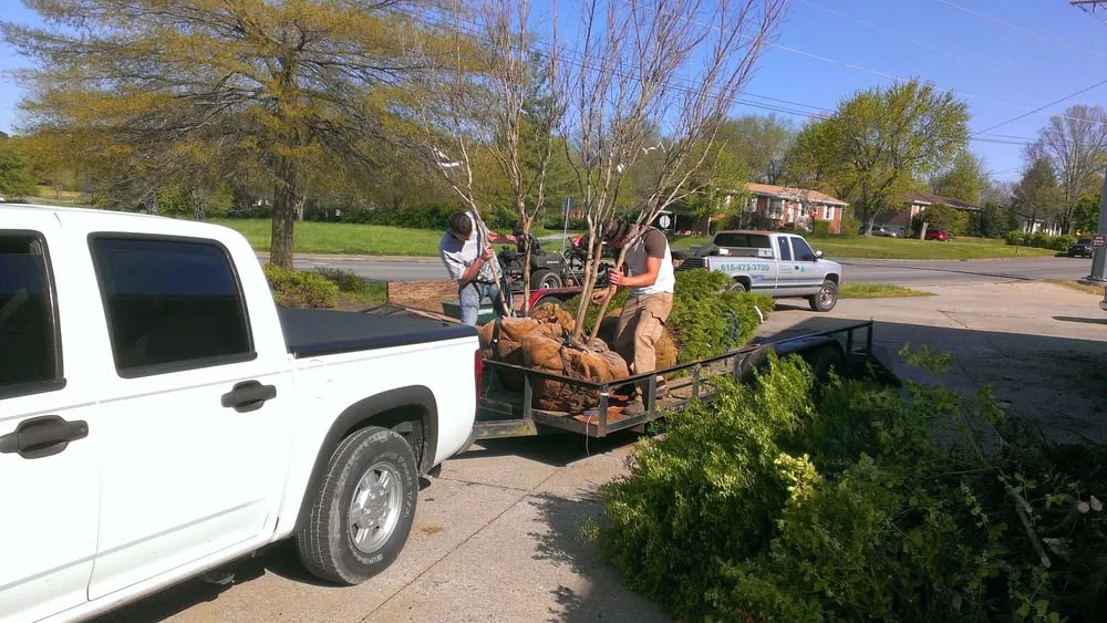 Custom garden landscaping experts serving Hendersonville, TN - Major League Landscapes