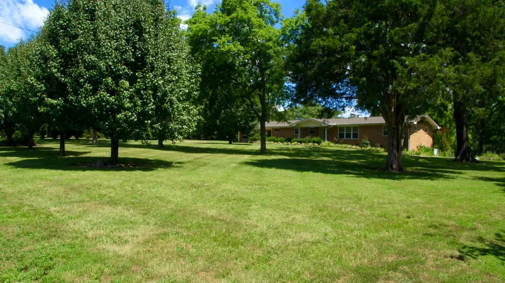 Trusted yard maintenance experts serving Hendersonville, TN - Major League Landscapes