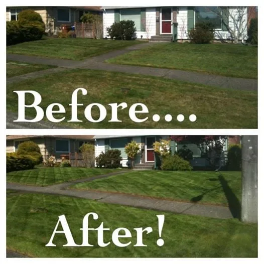 Custom landscaping services with custom design in Tacoma, WA by Major League Landscaping and Lawn Care
