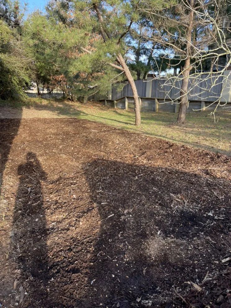 Expert landscape installation for homes in Grandy, NC by Major League Mowing