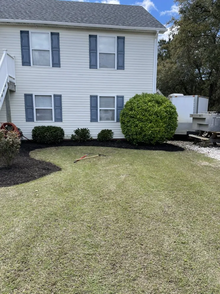 Trusted lawn care service for year-round maintenance across Grandy, NC - Major League Mowing