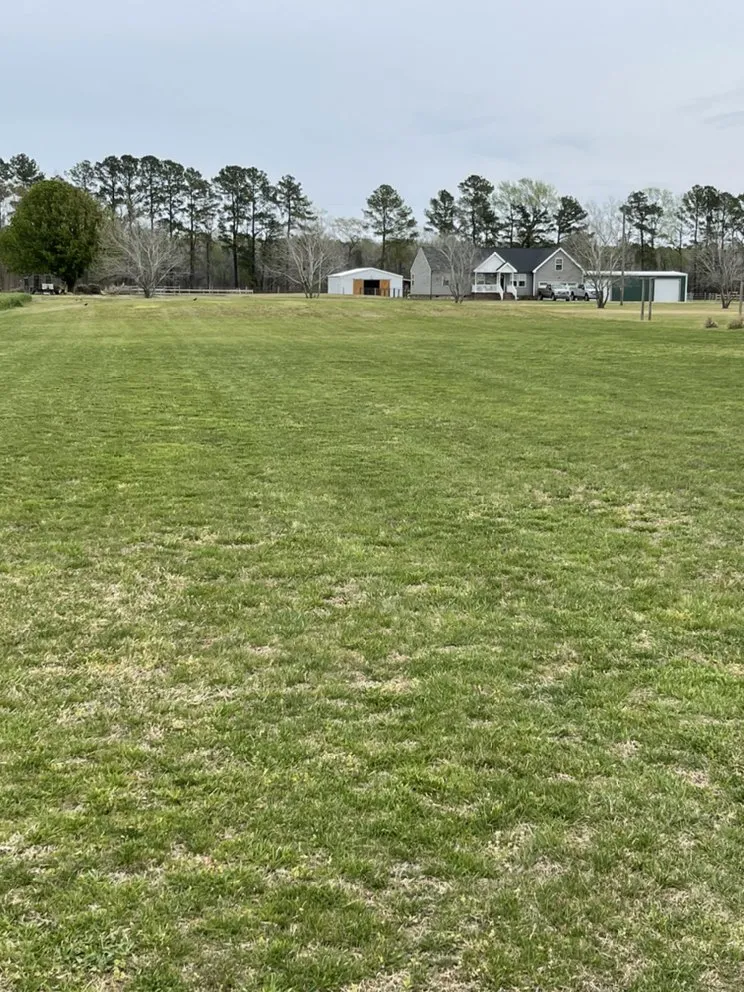Local lawn mowing service in Grandy, NC by Major League Mowing