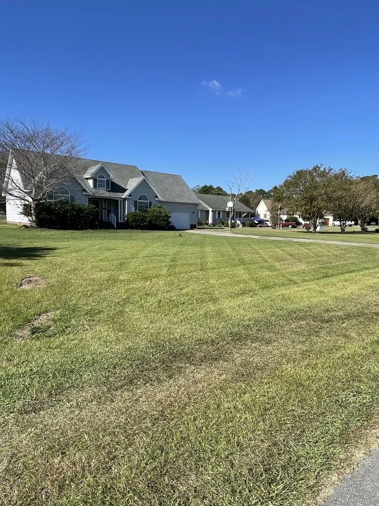 Custom yard maintenance for outdoor upgrades across Grandy, NC - Major League Mowing