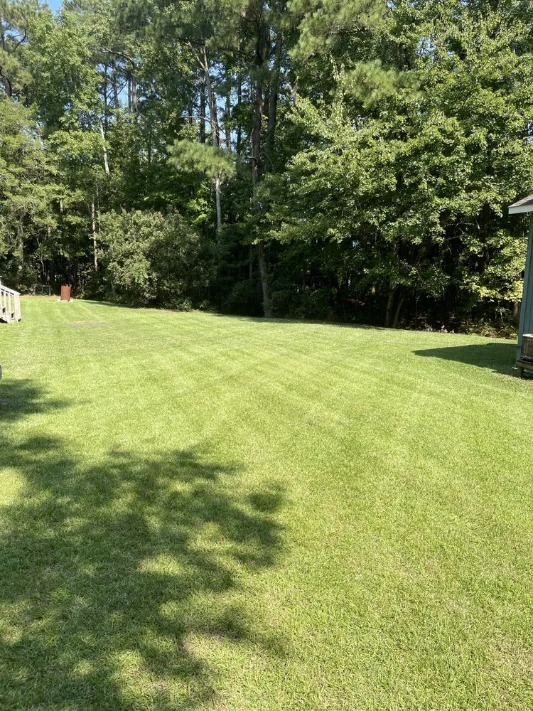 Trusted lawn care service in Grandy, NC by Major League Mowing