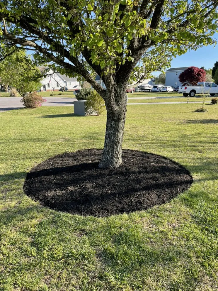 Professional lawn mowing service for outdoor upgrades across Grandy, NC - Major League Mowing