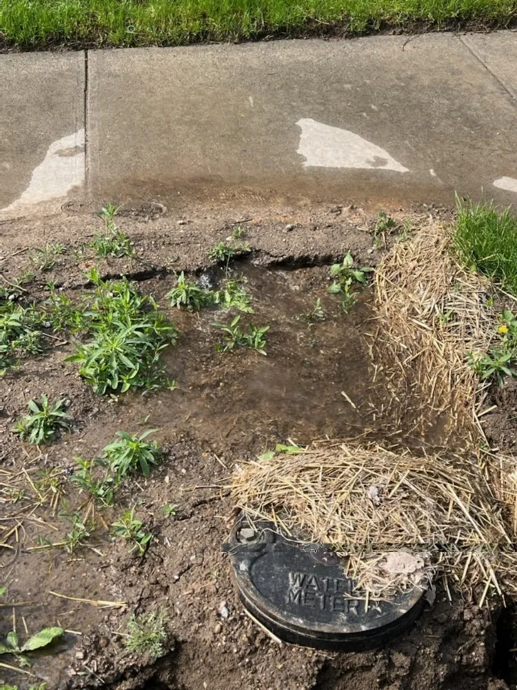 Affordable landscape design for homes across Aurora, CO - Major League Sprinkler Service