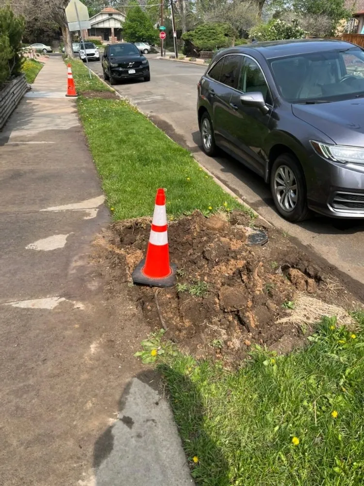 Custom lawn care service near you across Aurora, CO - Major League Sprinkler Service