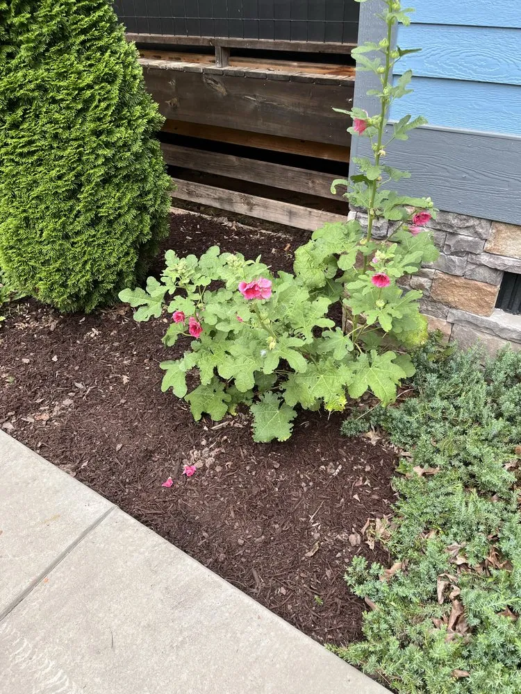 Expert landscape design in Murphy, NC by Major Mowing