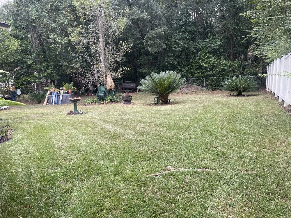 Local yard cleanup service with custom design in Havana, FL by Major Roots