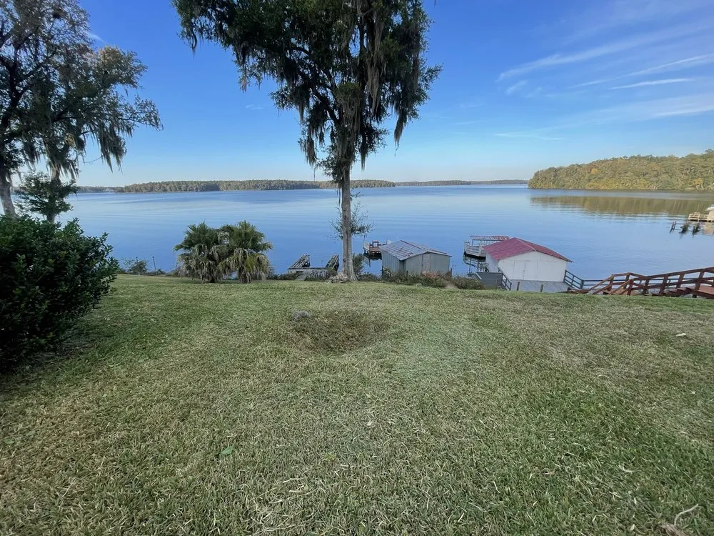 Professional yard cleanup service in Havana, FL by Major Roots